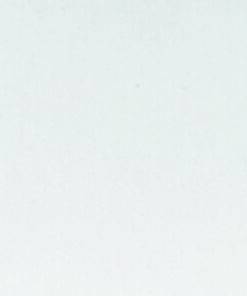 BELGIUM WHITE