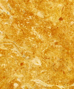 Flowery Gold