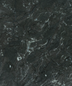 MEXICAN GREY