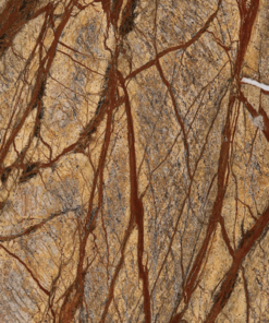 Rainforest Brown