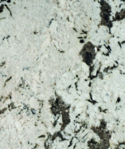 White Champagne