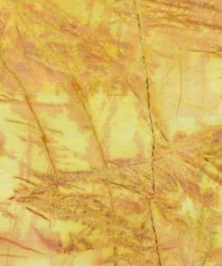 YELLOW PICASSA