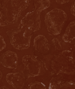 Oman Red