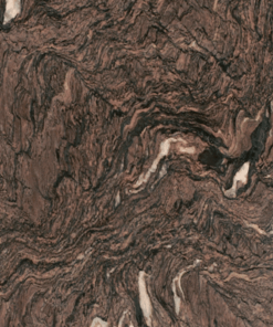 Scorpion Brown